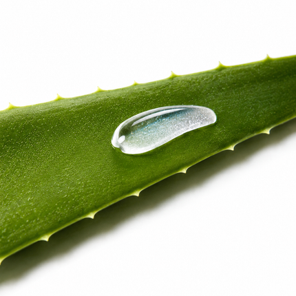 COSRX | Aloe Soothing Sun Cream 50ml